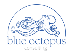 Blue Octopus Consulting